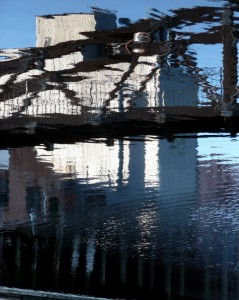 Petaluma River Reflections