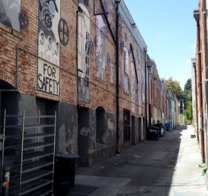 Petaluma - American Alley murals